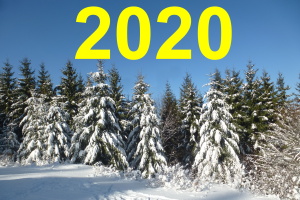 akcie 2020