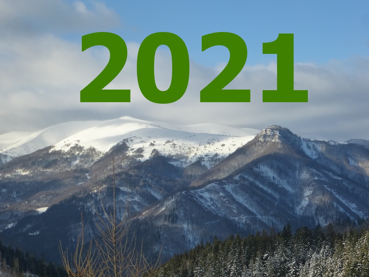 akcie 2021