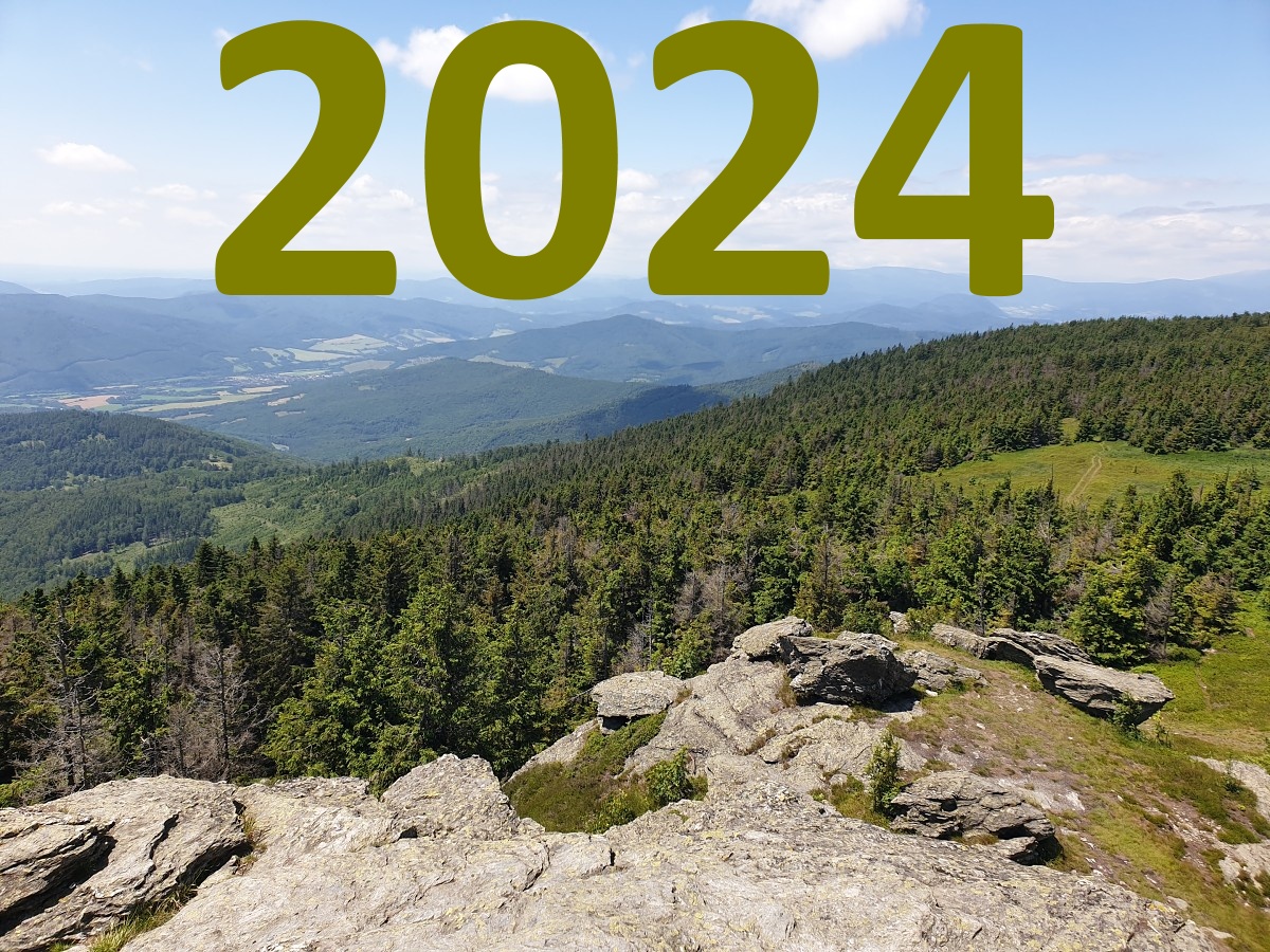 akcie 2024