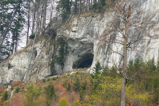 jaskya v Lopatch