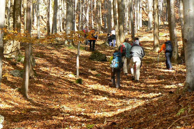 Drieňok -  9.10.2010