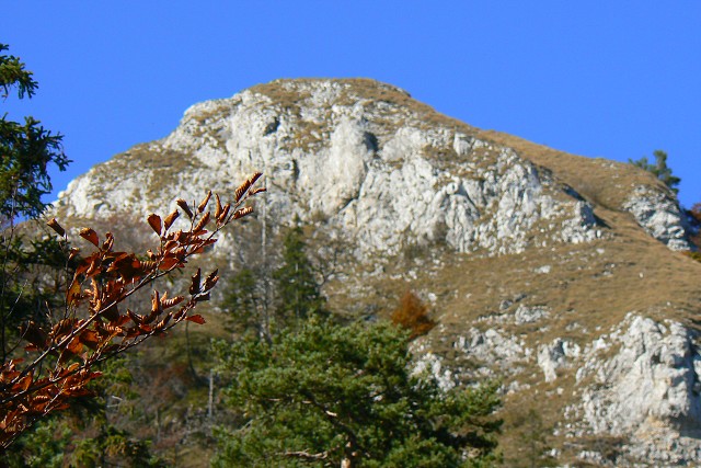 Drieňok -  9.10.2010