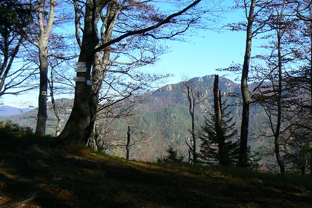 Drieňok -  9.10.2010