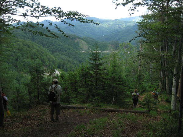 Tureck cesta