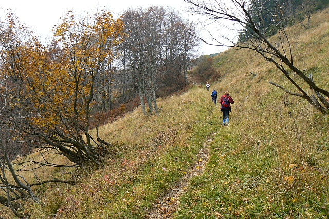 Krížna 16.10.2010