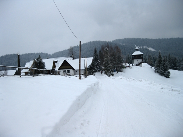 Ve�k� Borov�