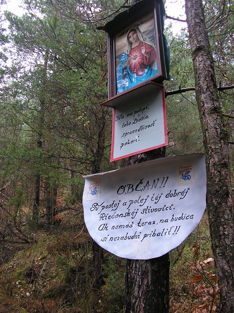 21.11.2010  Riečka - Riečanské sedlo - B. Bystrica