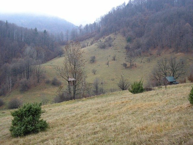 21.11.2010  Riečka - Riečanské sedlo - B. Bystrica