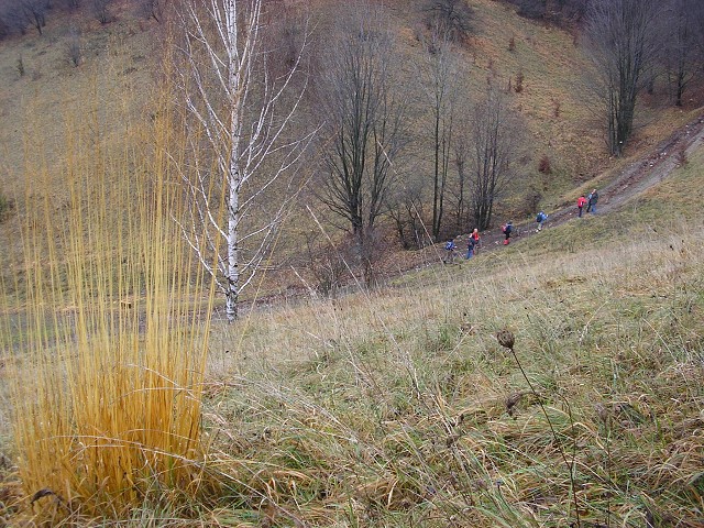 21.11.2010  Riečka - Riečanské sedlo - B. Bystrica