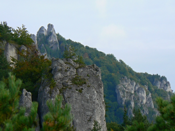 v pozad� Brada
