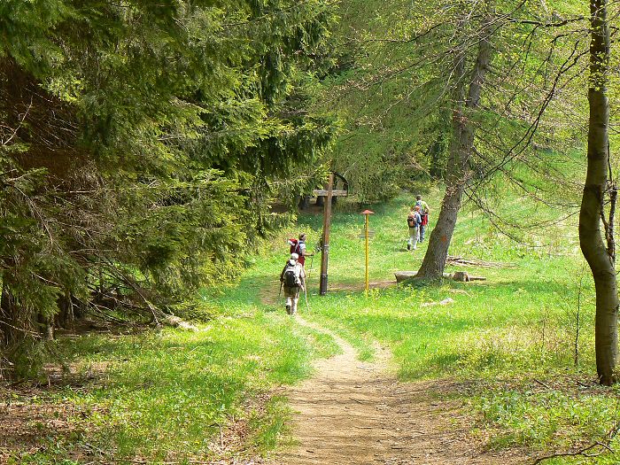 14.5.2011 Mal� Fatra - K�ak 1352 m