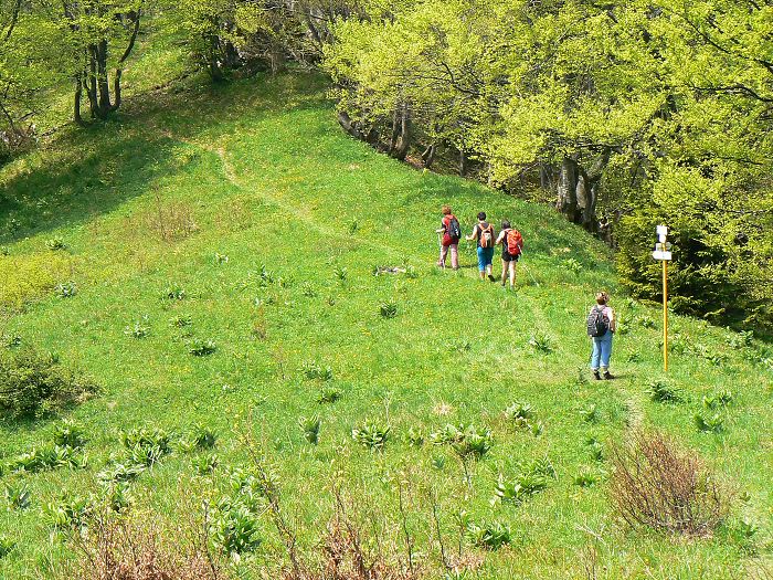 21.5.2011 Ve�k� Fatra - K�ak 1394 m