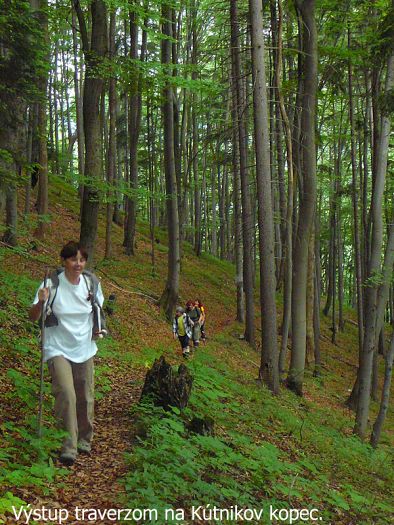 18.6.2011 Ve�k� Fatra - K�tnikov kopec 945 m
