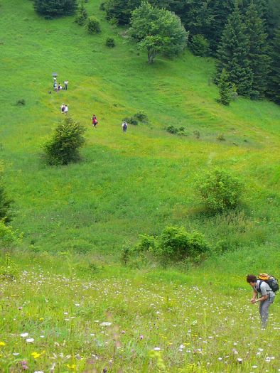 18.6.2011 Ve�k� Fatra - K�tnikov kopec 945 m