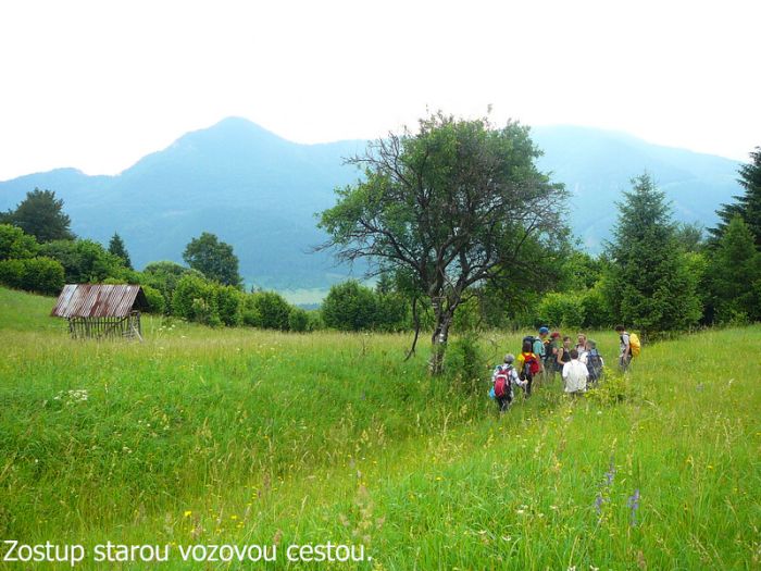 18.6.2011 Ve�k� Fatra - K�tnikov kopec 945 m