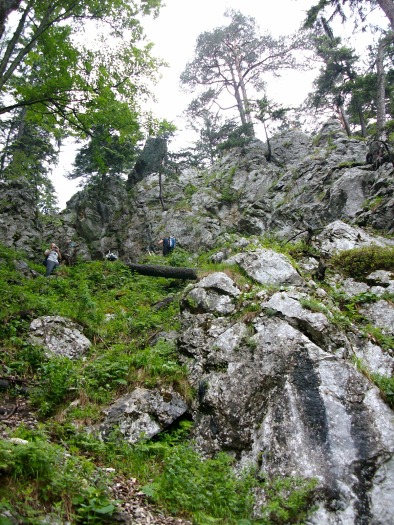 2.-3.6.2011 Zaisten� cesty - Raxalpe