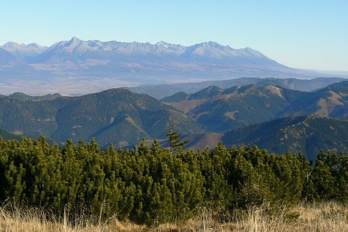 12.11.2011 Rovn� ho�a