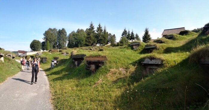 18.8.2012 Nzke Tatry: Krova hoa