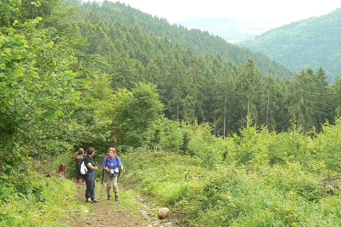 9.6.2012 Hrad Stre�no