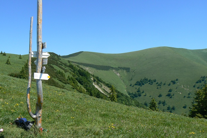 17.6.2012 Kr�ova stud�a