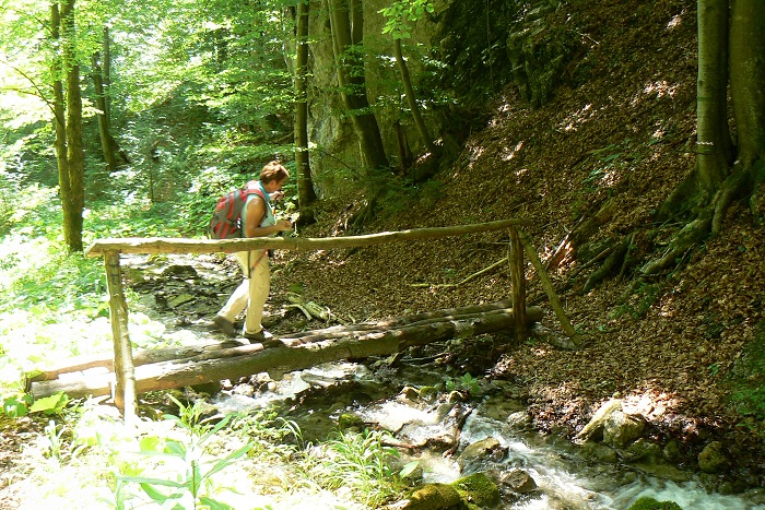 17.6.2012 Kr�ova stud�a