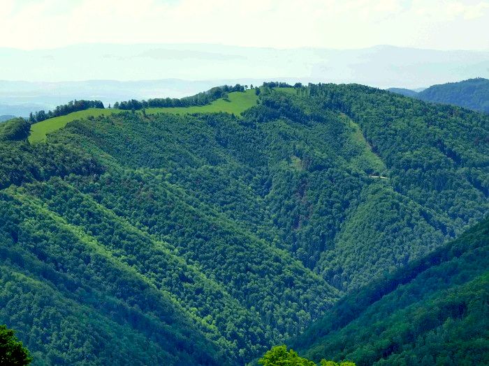 8.6.2013 Ve�k� Fatra: Jape� - Kr�na