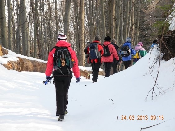 24.3.2013 Star� Kopa
