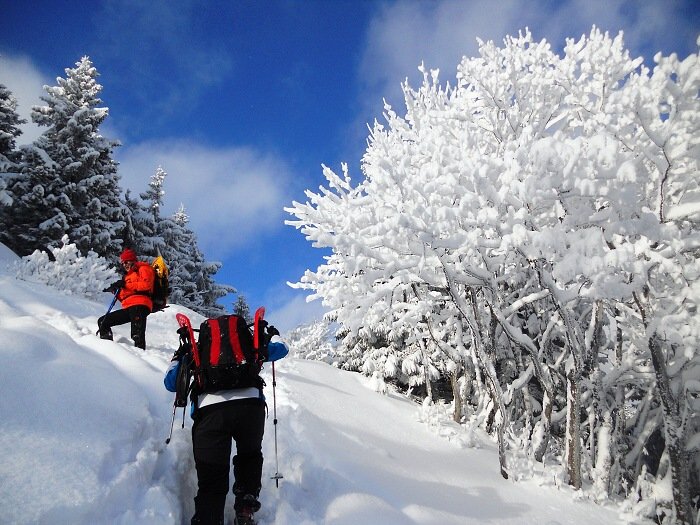 12.1.2012 Korytnica - Koz� chrb�t - Donovaly