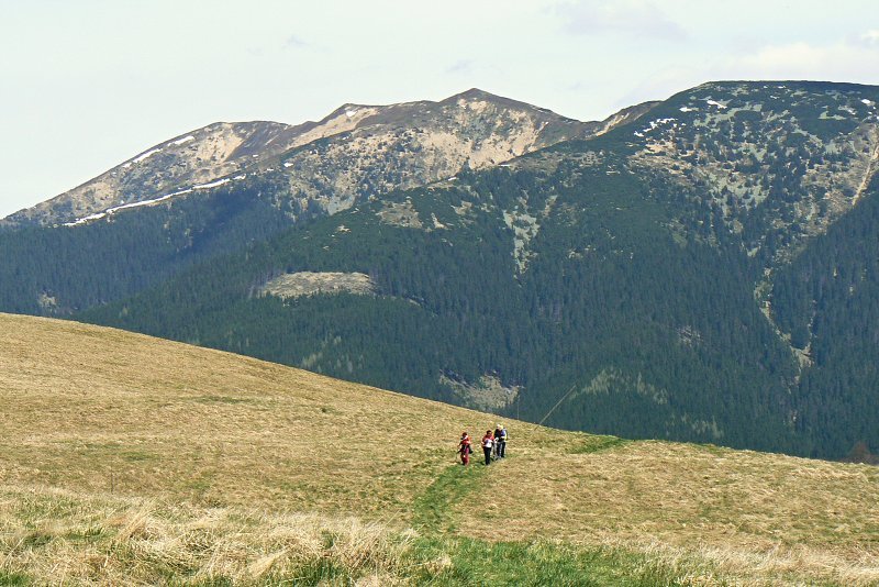 8.5.2015 Nízke Tatry: Kozí chrbát