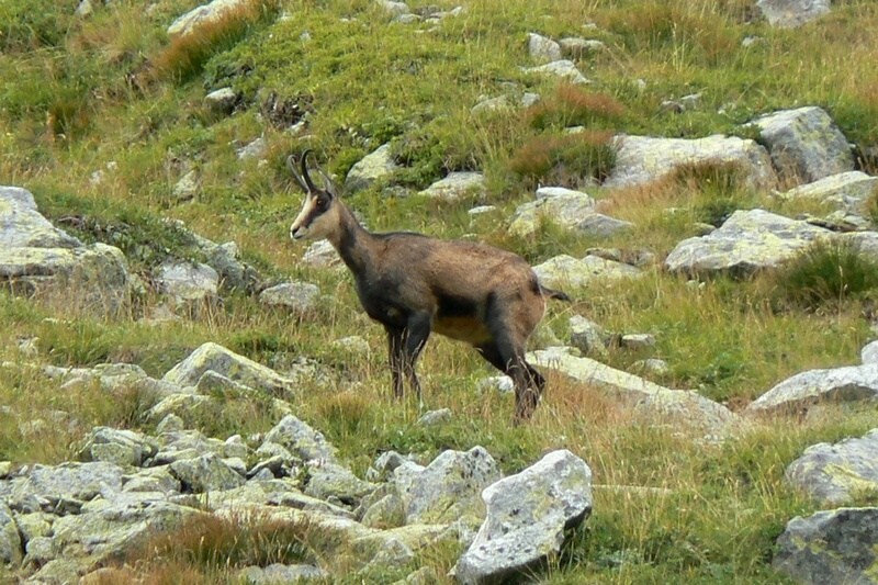 22.8..2015 Vysoké Tatry: Bystrá lávka
