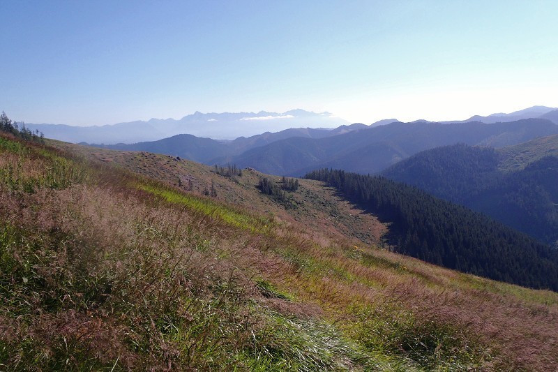 11.7.2015 Rovná hoľa