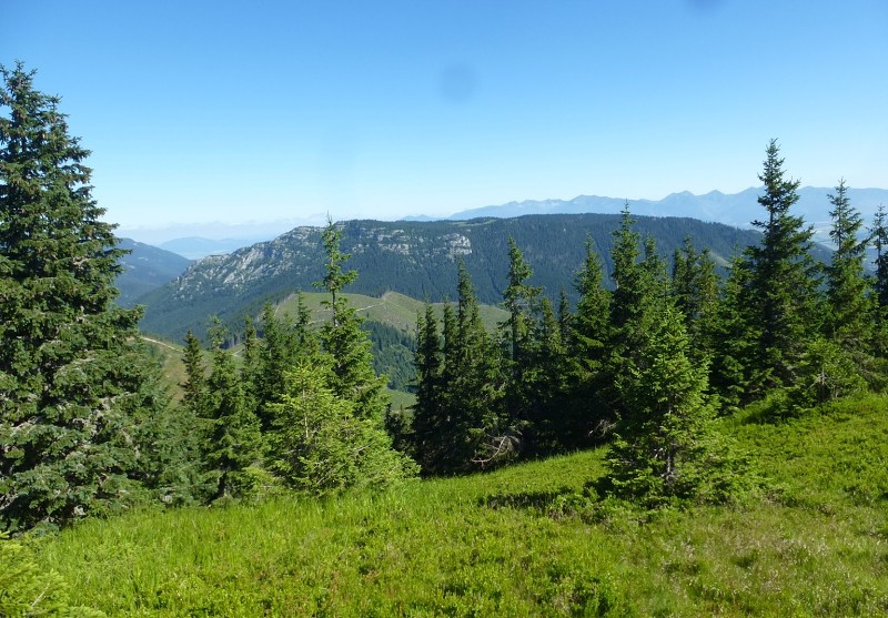 11.7.2015 Rovná hoľa