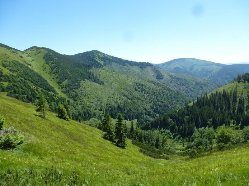 11.7.2015 Rovná hoľa