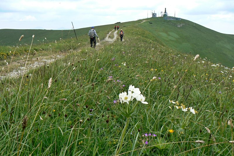 27.6.2015 Veľká Fatra: Ostredok