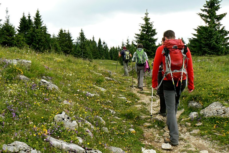 27.6.2015 Veľká Fatra: Ostredok