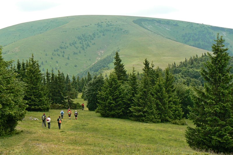 27.6.2015 Veľká Fatra: Ostredok