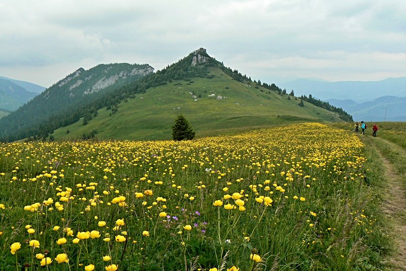 27.6.2015 Veľká Fatra: Ostredok