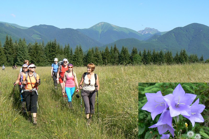4.7.2015 Šípska Fatra: Šíp