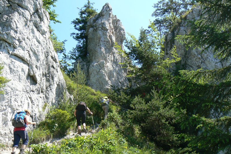 4.7.2015 Šípska Fatra: Šíp