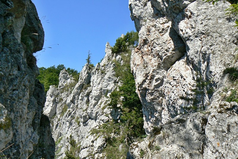 4.7.2015 Šípska Fatra: Šíp