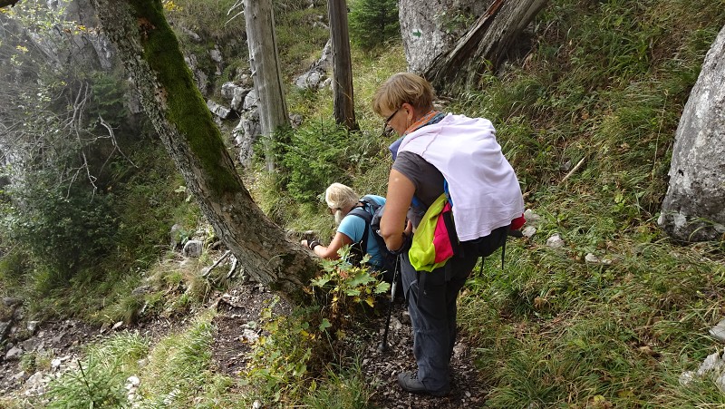 19.9.2015 Veľká Fatra: Tlstá, Ostrá