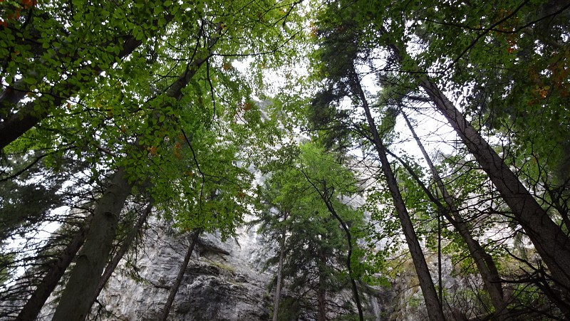 19.9.2015 Veľká Fatra: Tlstá, Ostrá