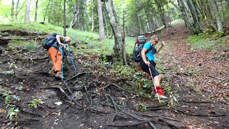 19.9.2015 Veľká Fatra: Tlstá, Ostrá
