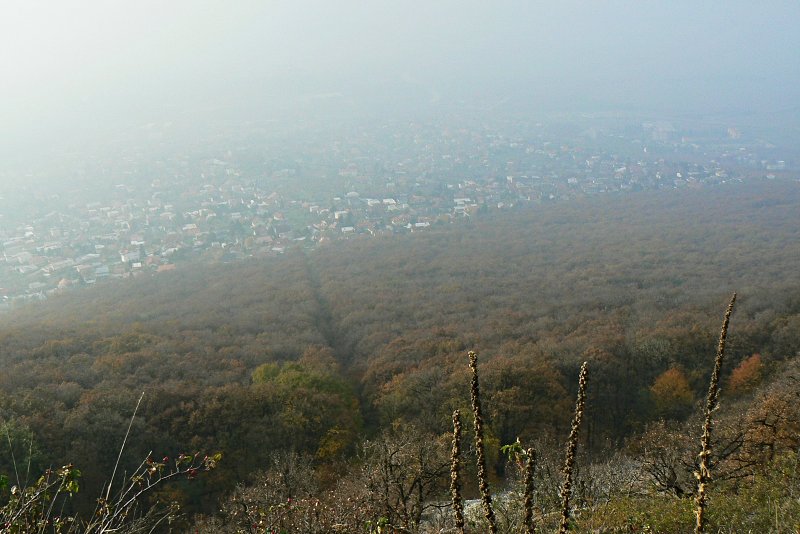 7.11.2015 Nitra: Zobor