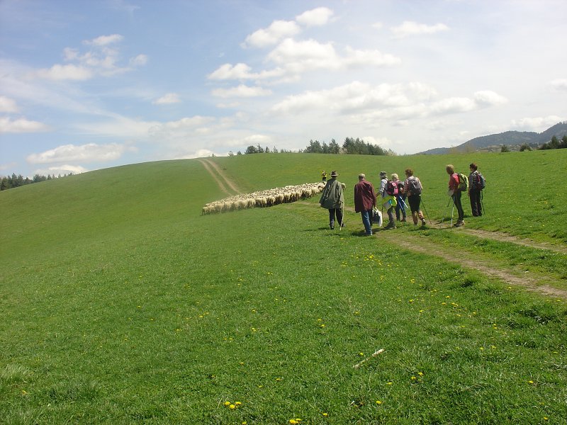 17.4.2016 Môlča - Slovenská Ľupča