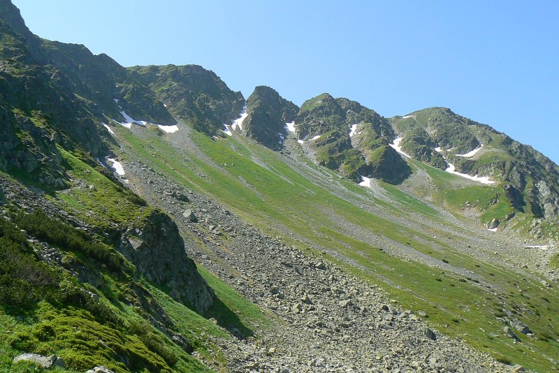 25.6.2016: Roháče