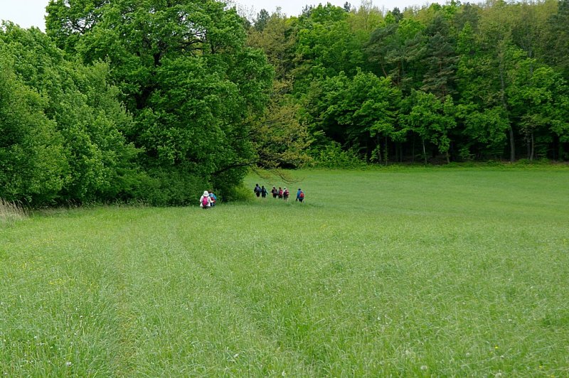 15.5.2016: Sliač - Hronsek