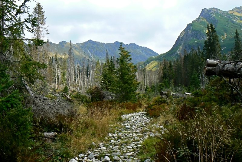 10.9.2016: Vysoké Tatry: Čisté hory