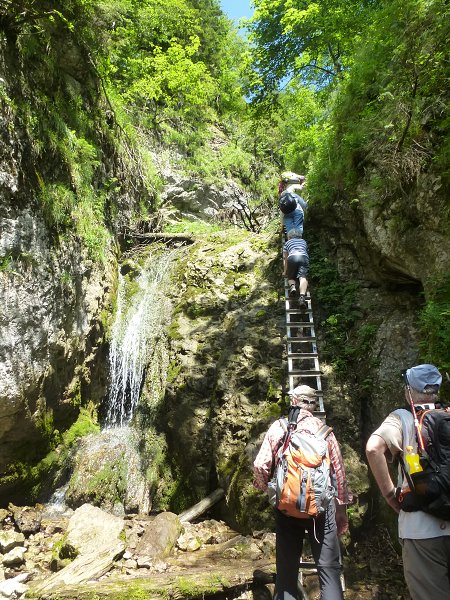 9.7.2016: Slovenský raj: Zejmarská roklina