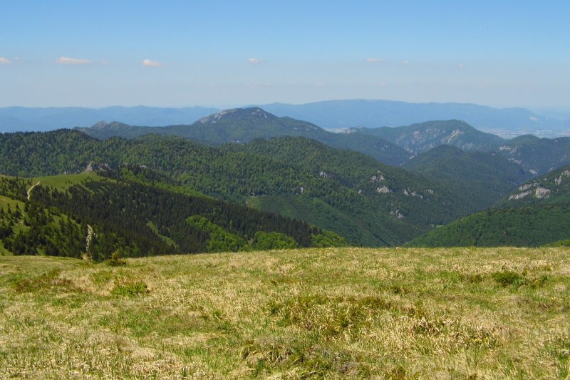 3.6.2017: Veľká Fatra: Krížna